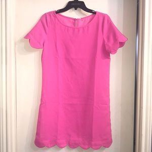 Bright Pink dress small BNWT.